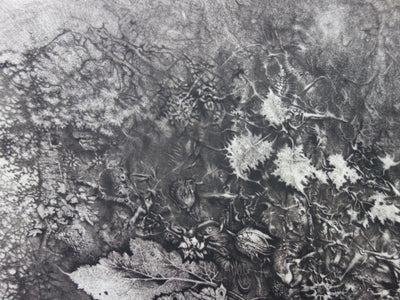 André BEGUIN : Végétale - Gravure (détail)
