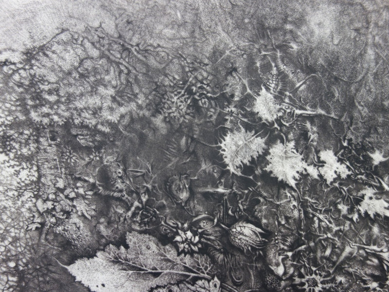 André BEGUIN : Végétale - Gravure (détail)