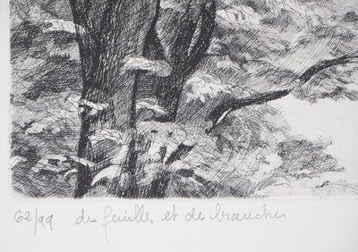 BELISAIRE : Des feuilles et des branches - Gravure (détail)