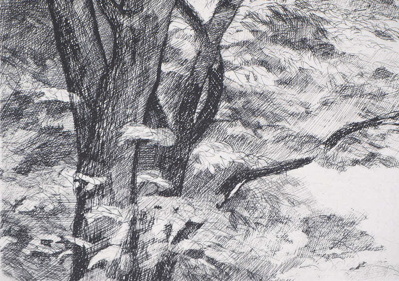  BELISAIRE : Des feuilles et des branches - Gravure (détail)