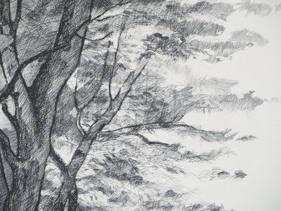  BELISAIRE : Des feuilles et des branches - Gravure (détail)