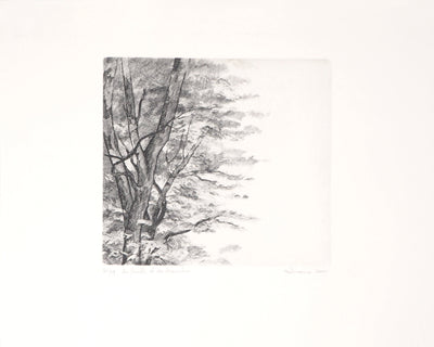  BELISAIRE : Des feuilles et des branches - Gravure (détail)