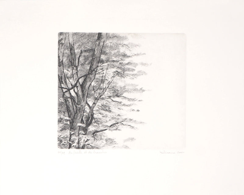  BELISAIRE : Des feuilles et des branches - Gravure (détail)