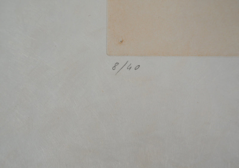 Hans BELLMER : Femme-objet (1973) - Gravure (détail)