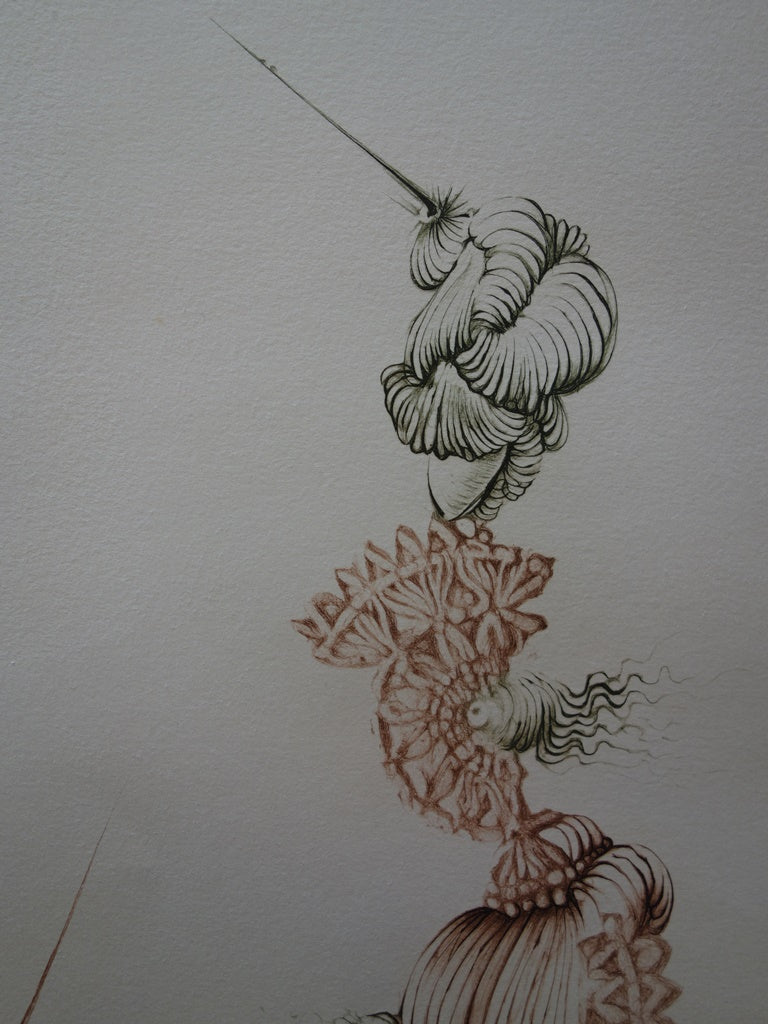 Hans BELLMER : Femmes pleine de piquant - Gravure (détail)