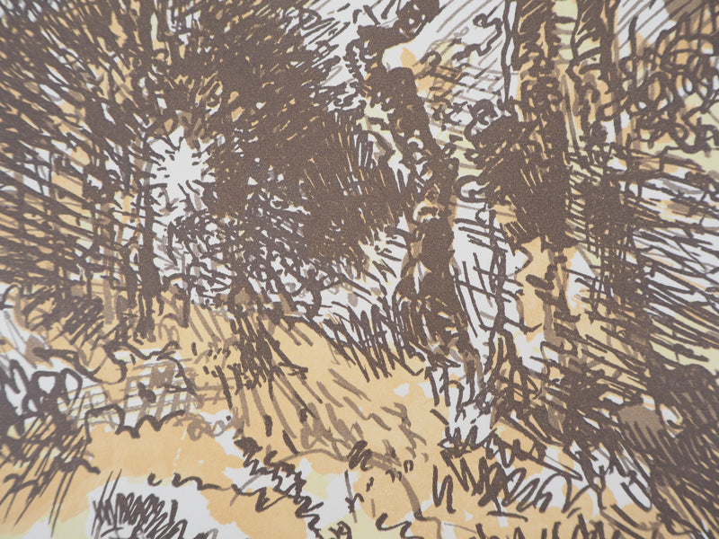 Jacques BELTRAND : Maquis, 1923 - Gravure sur bois (détail)