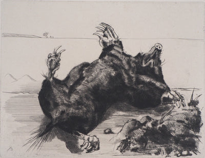 Jean-Eugène BERSIER : La taupe - Gravure (détail)