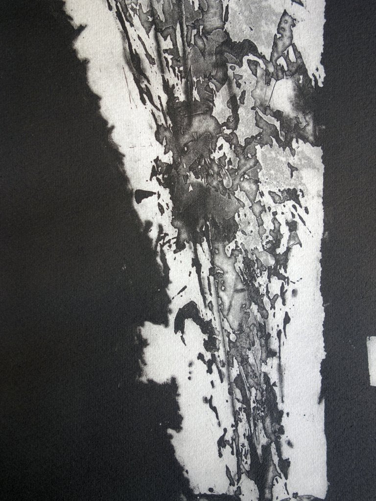 Daphné BITCHATCH : Fragments - Gravure (détail)