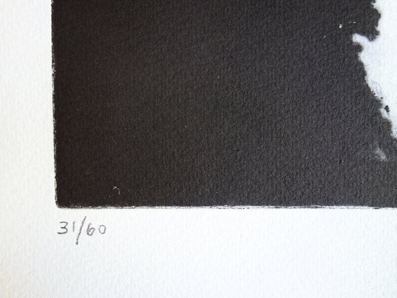 Daphné BITCHATCH : Fragments - Gravure (détail)