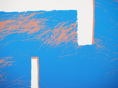 Jean-Marc BOLZE : Circuit - Sérigraphie (détail)
