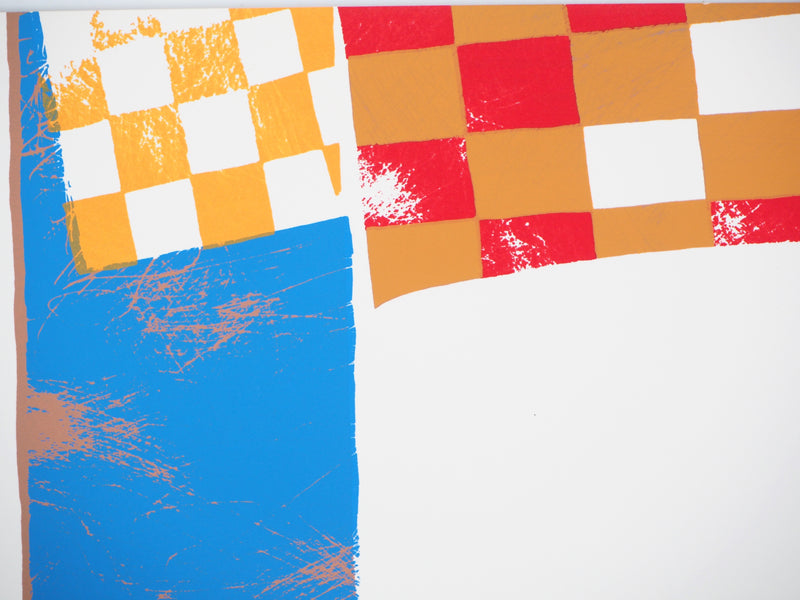 Jean-Marc BOLZE : Circuit - Sérigraphie (détail)
