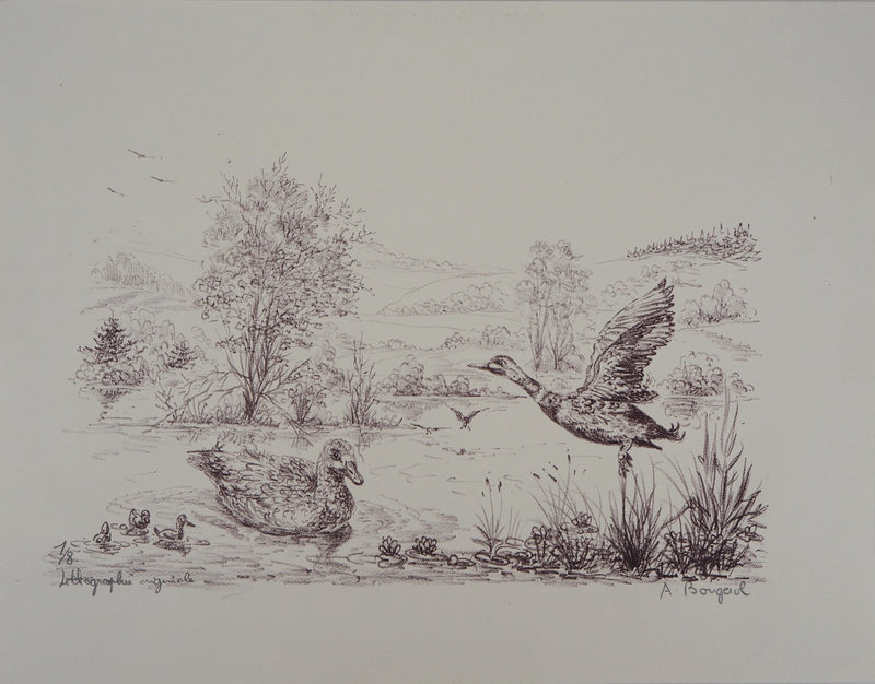 André BOUGEROL : Canards sur l&