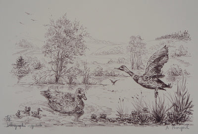 André BOUGEROL : Canards sur l'eau - Lithographie (détail)