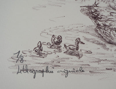 André BOUGEROL : Canards sur l'eau - Lithographie (détail)