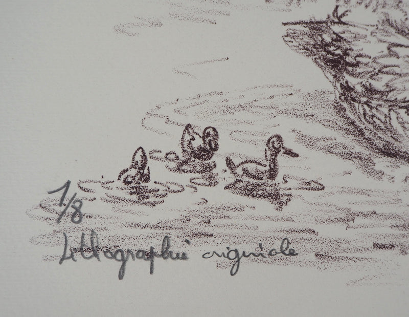 André BOUGEROL : Canards sur l&