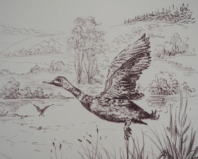 André BOUGEROL : Canards sur l'eau - Lithographie (détail)
