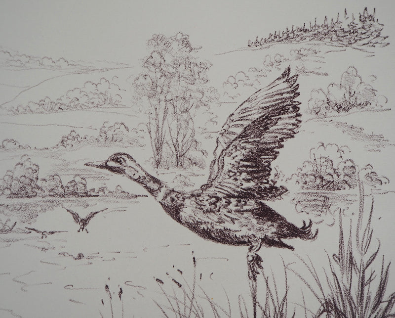 André BOUGEROL : Canards sur l&