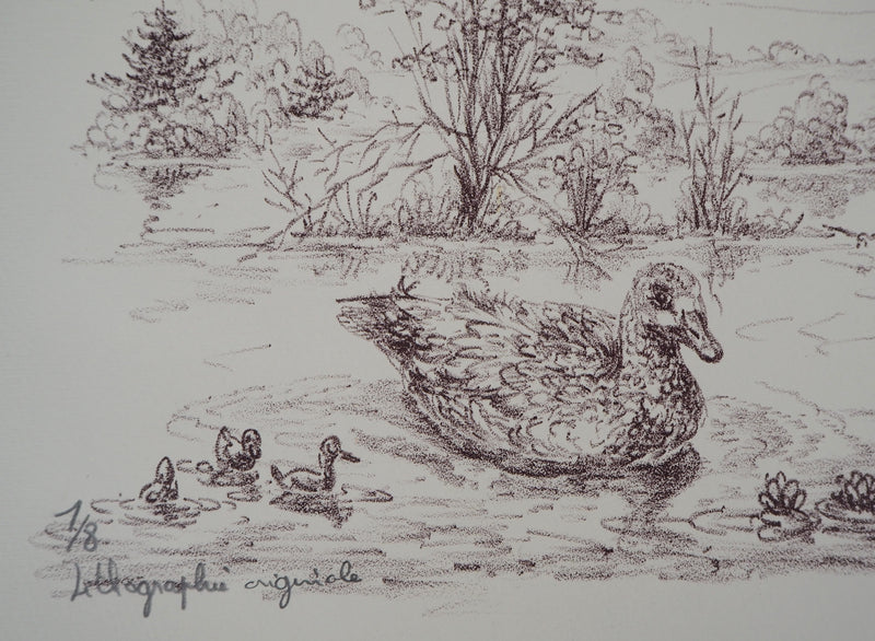 André BOUGEROL : Canards sur l&