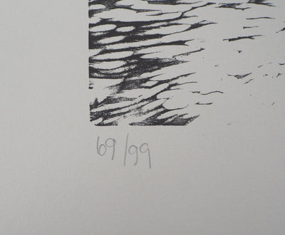Devorah BOXER : Pump - Lithographie (détail)