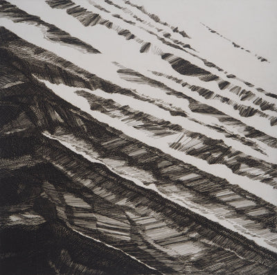 Françoise BRICAUT : L'Eau de la lune laissera ses plaques dans le désert, 1982 - Gravure (détail)