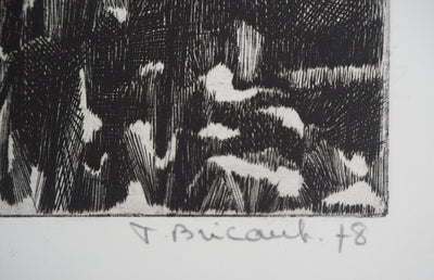 Françoise BRICAUT : Au pays de Dieu Noir, 1978 - Gravure (détail)