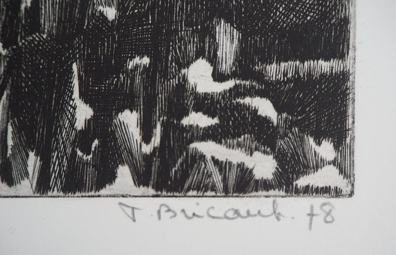 Françoise BRICAUT : Au pays de Dieu Noir, 1978 - Gravure (détail)