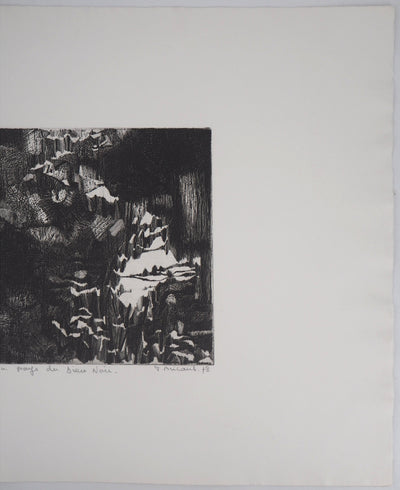 Françoise BRICAUT : Au pays de Dieu Noir, 1978 - Gravure (détail)