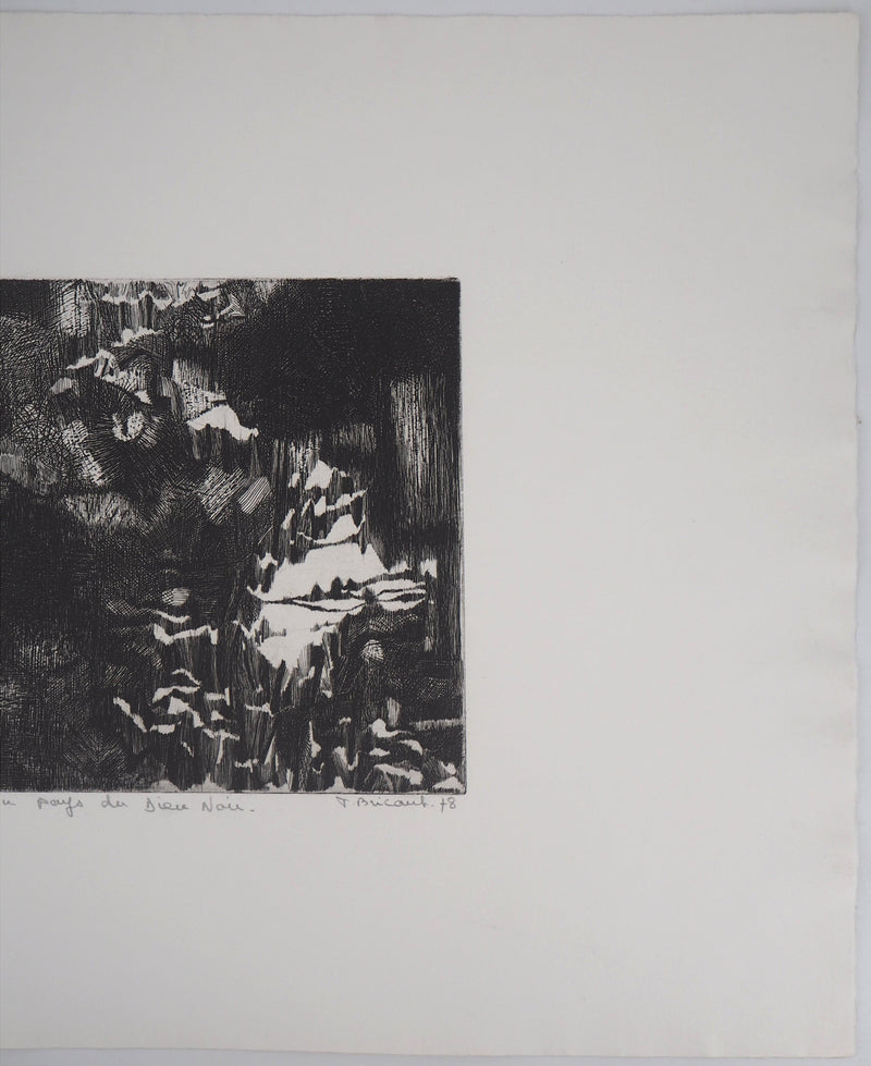 Françoise BRICAUT : Au pays de Dieu Noir, 1978 - Gravure (détail)