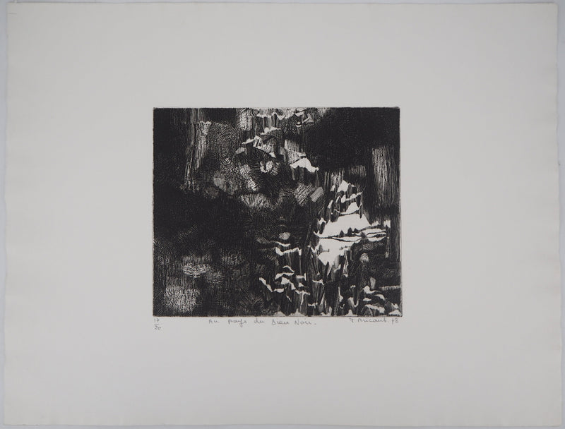 Françoise BRICAUT : Au pays de Dieu Noir, 1978 - Gravure (détail)