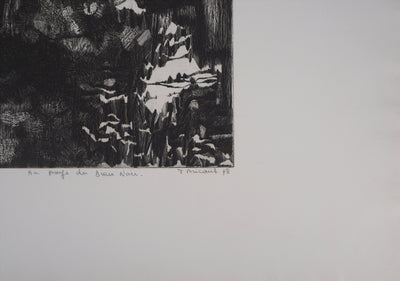 Françoise BRICAUT : Au pays de Dieu Noir, 1978 - Gravure (détail)