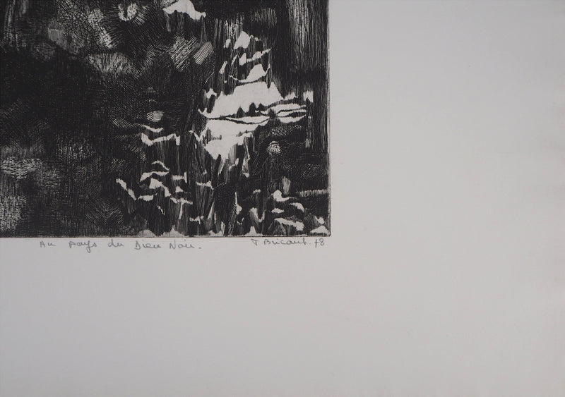Françoise BRICAUT : Au pays de Dieu Noir, 1978 - Gravure (détail)