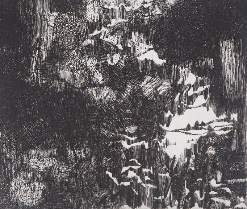 Françoise BRICAUT : Au pays de Dieu Noir, 1978 - Gravure (détail)