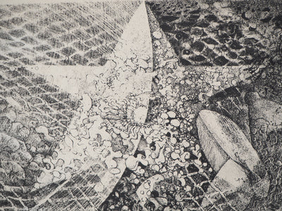 Patrick BRISSAUD : Comète 74 - Lithographie (détail)