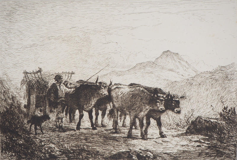 Felix BRISSOT DE WARWILLE : Attelage de bœufs en Normandie - Gravure