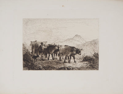 Felix BRISSOT DE WARWILLE : Attelage de bœufs en Normandie - Gravure (détail)