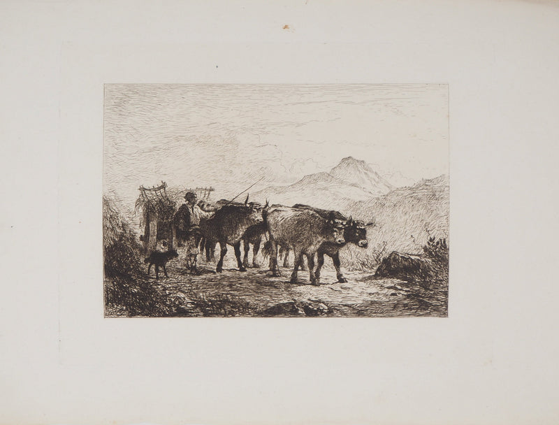 Felix BRISSOT DE WARWILLE : Attelage de bœufs en Normandie - Gravure (détail)
