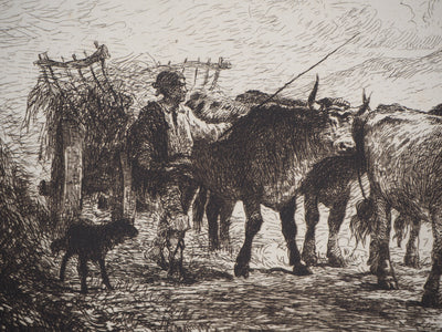 Felix BRISSOT DE WARWILLE : Attelage de bœufs en Normandie - Gravure (détail)