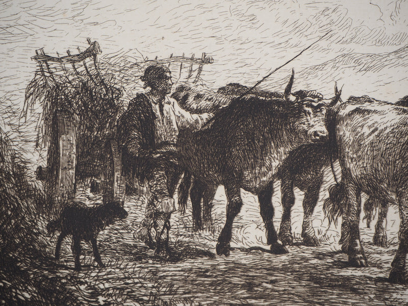 Felix BRISSOT DE WARWILLE : Attelage de bœufs en Normandie - Gravure (détail)
