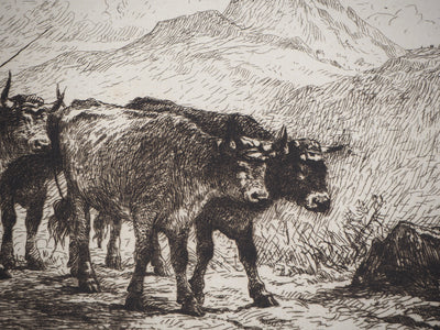 Felix BRISSOT DE WARWILLE : Attelage de bœufs en Normandie - Gravure (détail)