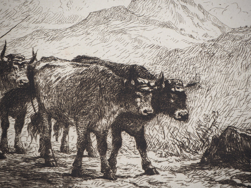 Felix BRISSOT DE WARWILLE : Attelage de bœufs en Normandie - Gravure (détail)