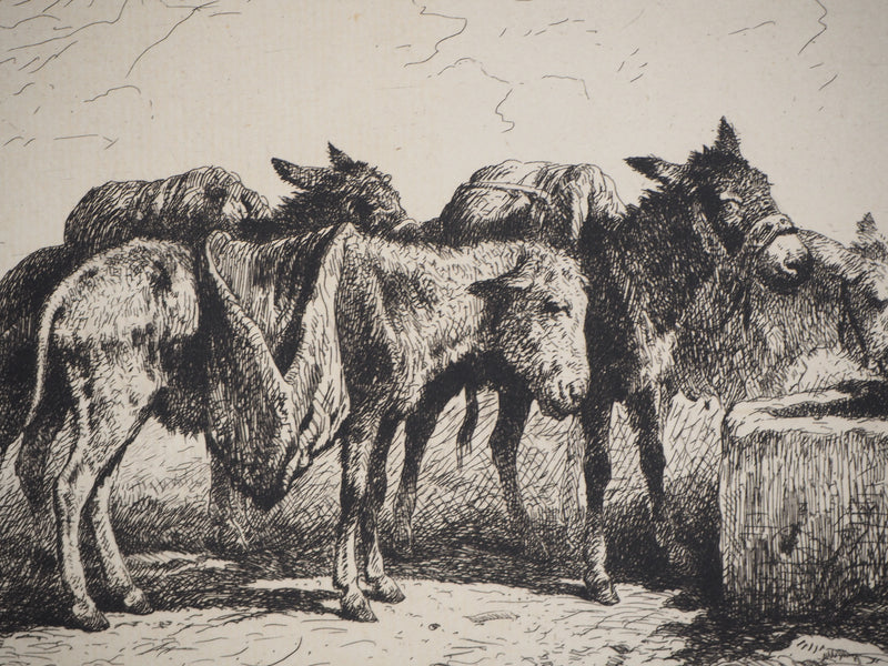 Felix BRISSOT DE WARWILLE : Baudets espagnols - Gravure