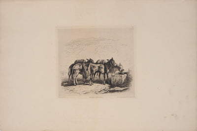 Felix BRISSOT DE WARWILLE : Baudets espagnols - Gravure (détail)