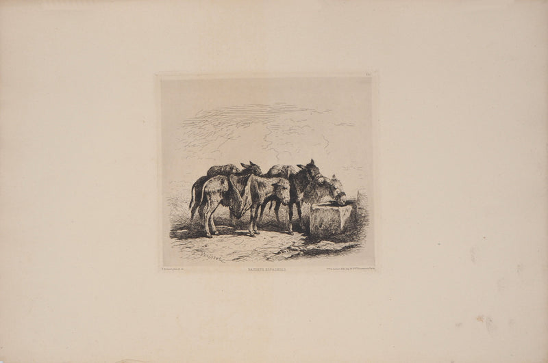 Felix BRISSOT DE WARWILLE : Baudets espagnols - Gravure (détail)