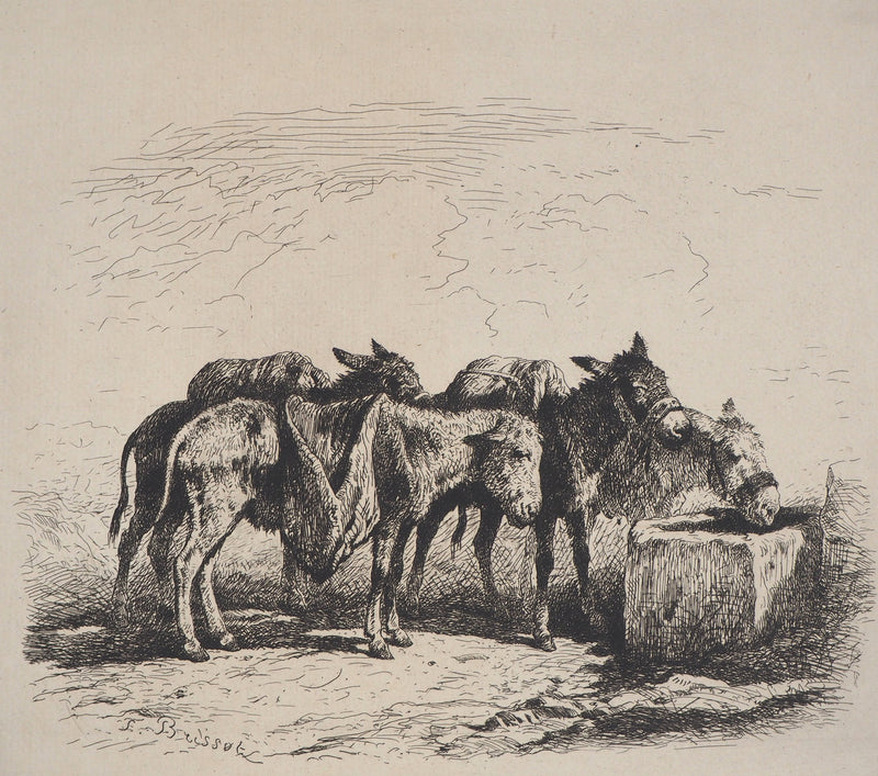 Felix BRISSOT DE WARWILLE : Baudets espagnols - Gravure (détail)