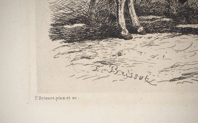 Felix BRISSOT DE WARWILLE : Baudets espagnols - Gravure (détail)