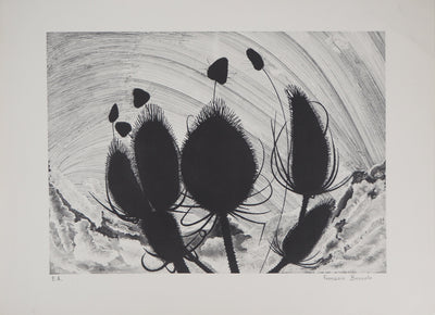 François BROSOLO : Les chardons - Lithographie