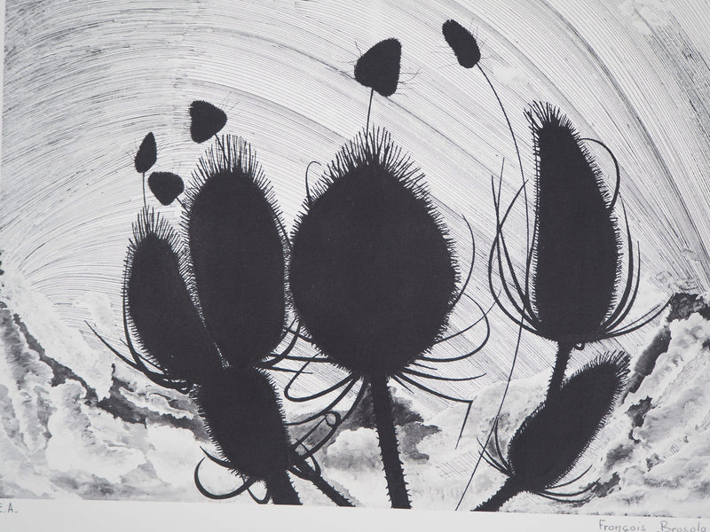 François BROSOLO : Les chardons - Lithographie (détail)