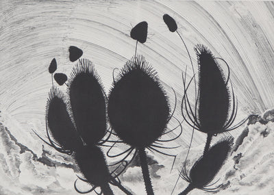 François BROSOLO : Les chardons - Lithographie (détail)