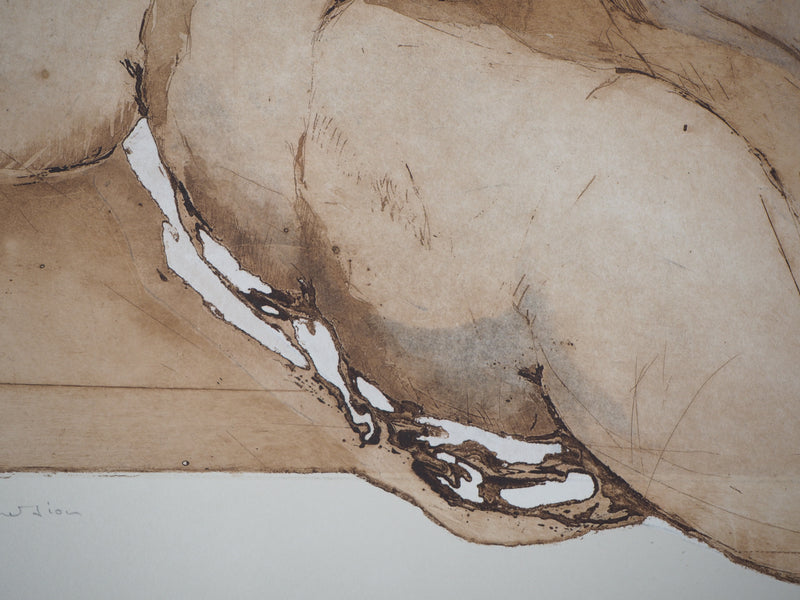 Sylviane CANINI : Immersion, la femme au bain - Gravure (détail)