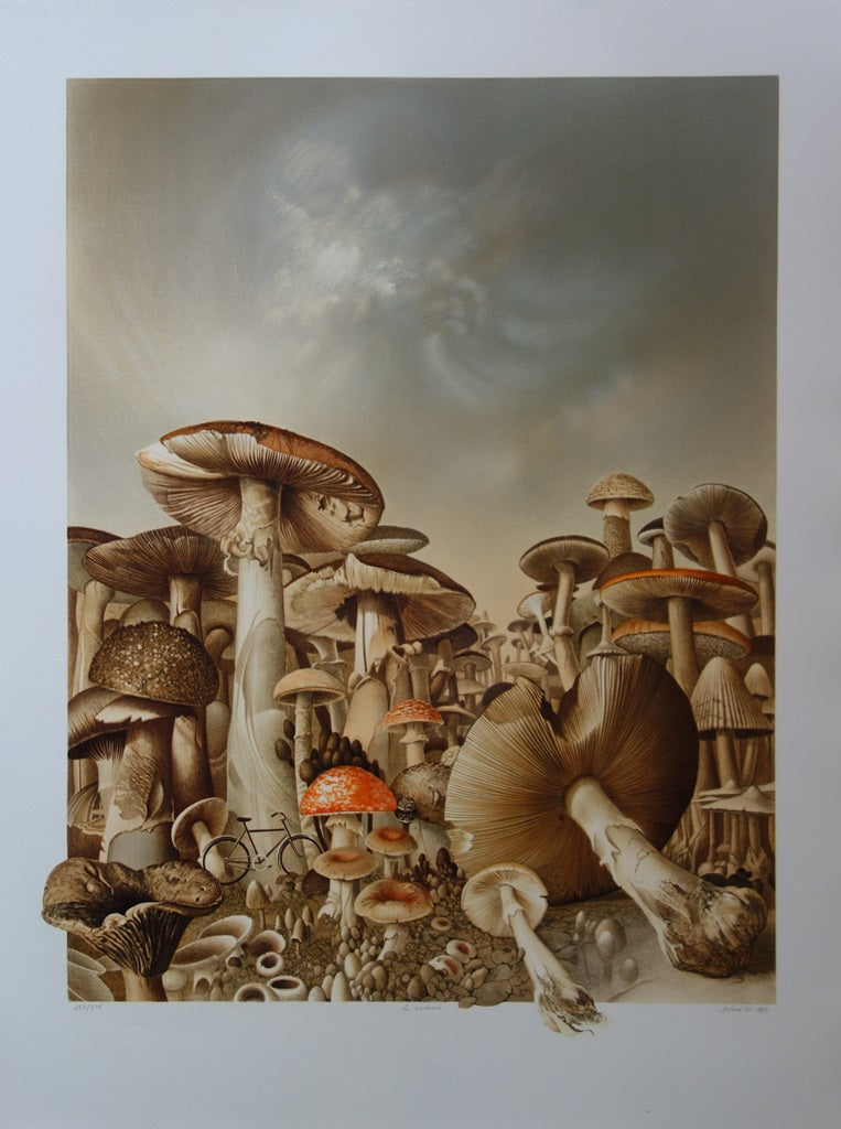 Roland CAT : Randonnée Mycologique - Lithographie